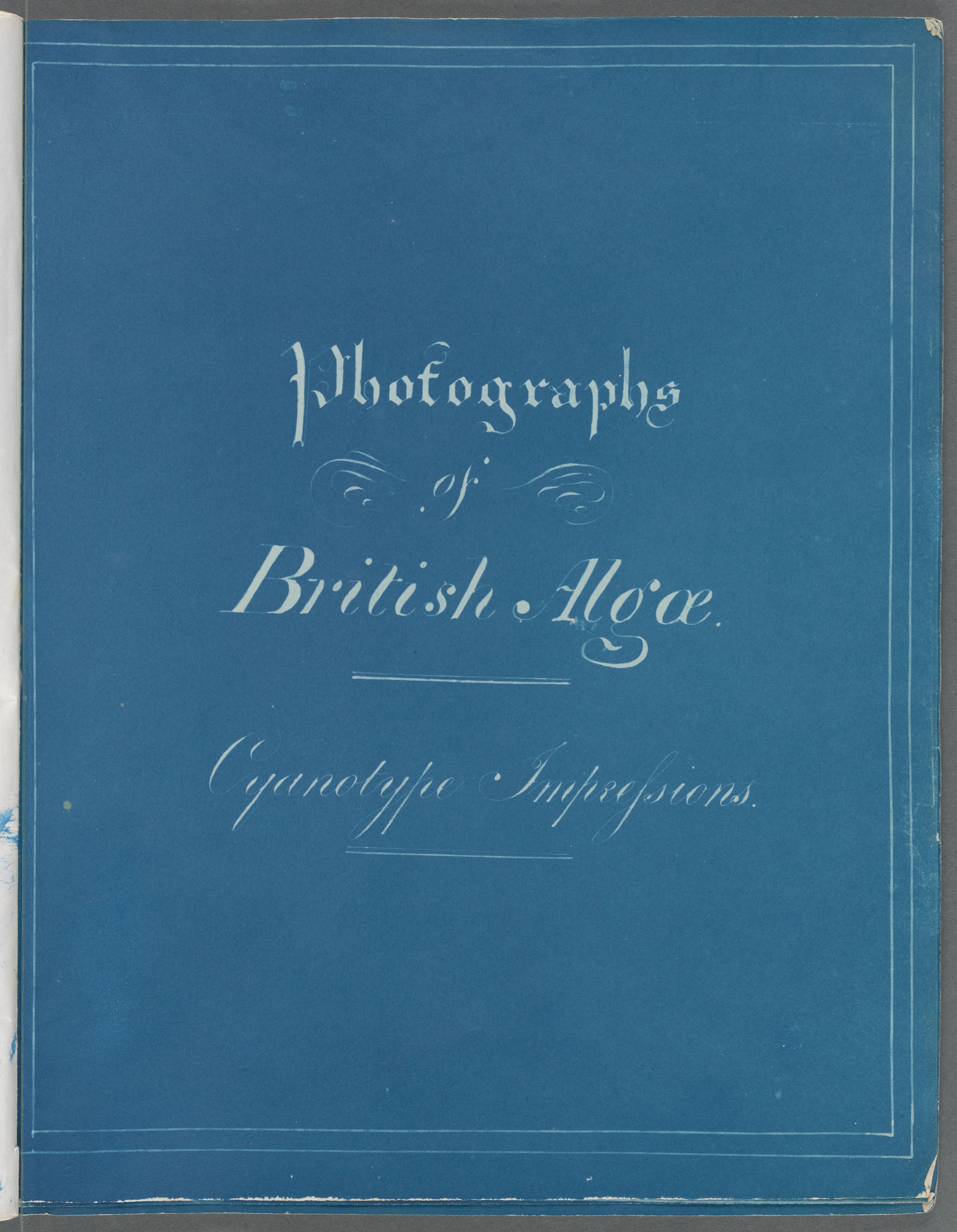 copertina di “Photographs of British Algae”